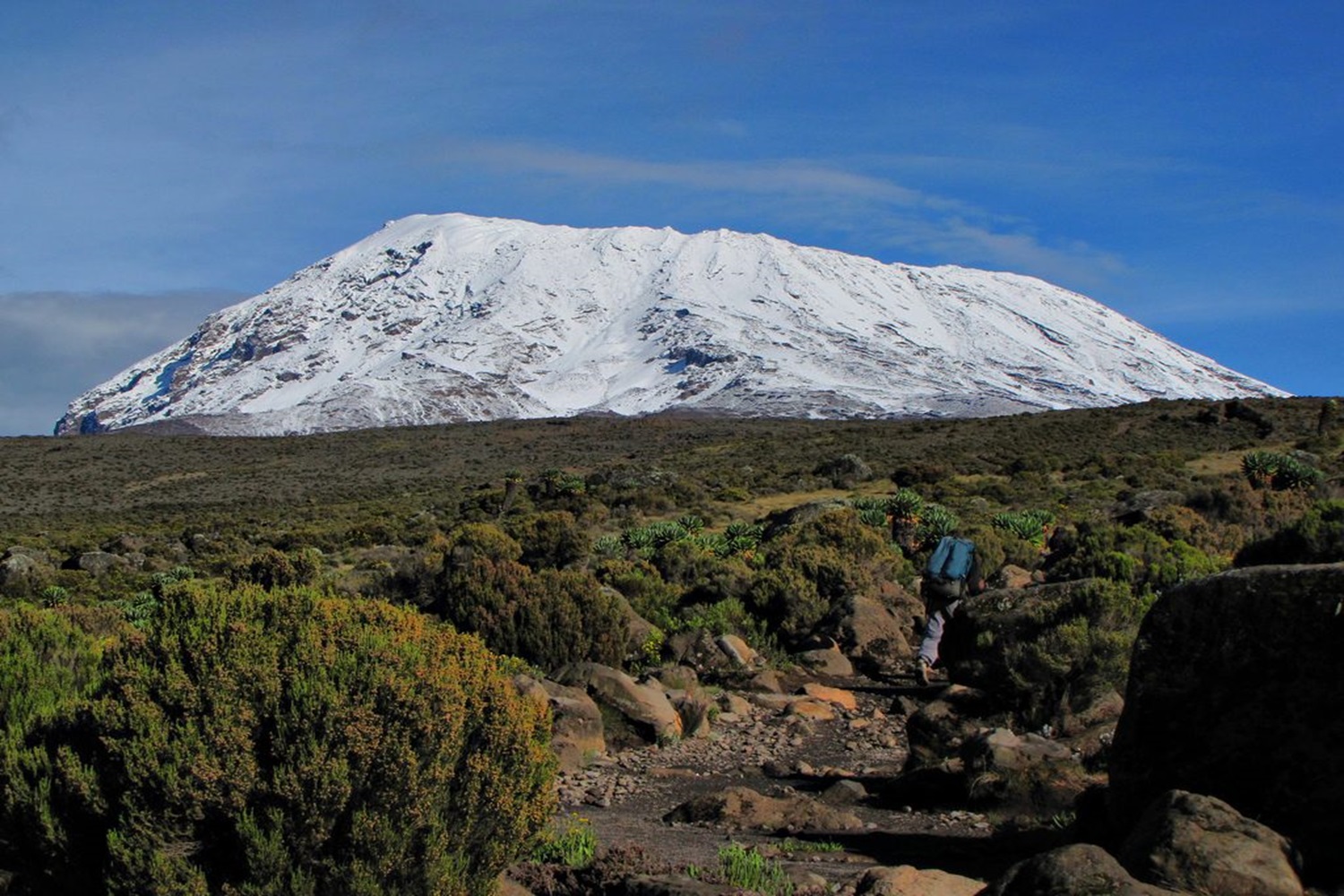 8 Days Kilimanjaro via Machame Route