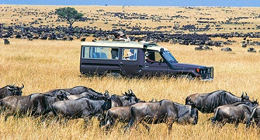 What Should I Pack For My Safari?