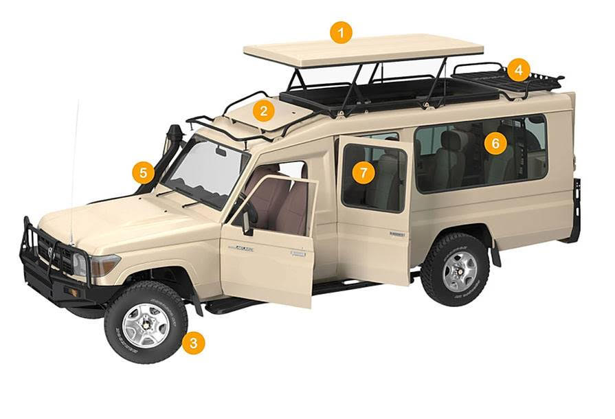 Into Nature safaris