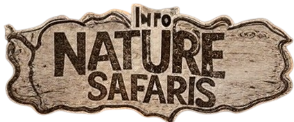 Into Nature Safaris